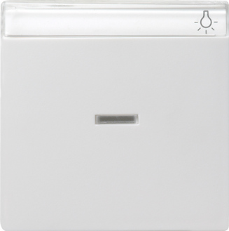 Gira Одинарная клавиша с полем для надписи и подсветкой 067027