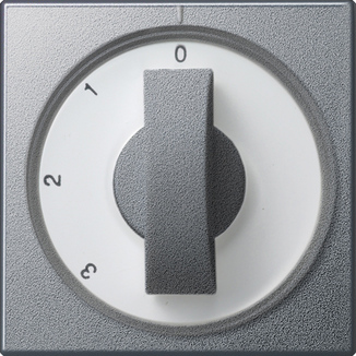 Gira Накладка с ручкой для трехступенчатого переключателя 066926