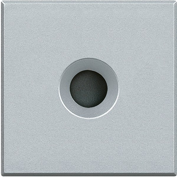 Купить BT Axolute Алюминий Заглушка с выходом 9 мм, 2 коннектора HC4954