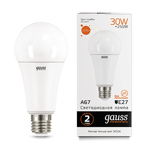 Gauss Лампа Elementary A67 30W 2320lm 3000K E27 LED 73219