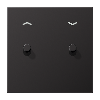 JUNG LS1912 Dark Центральная плата, 1 пост, 2 тумблера,цилиндр; метал. исполнение AL12-5PDR01