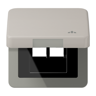 JUNG Накладка и крышка для двойных UAE розеток с символом "сеть" металл платина CD590KLLANPT