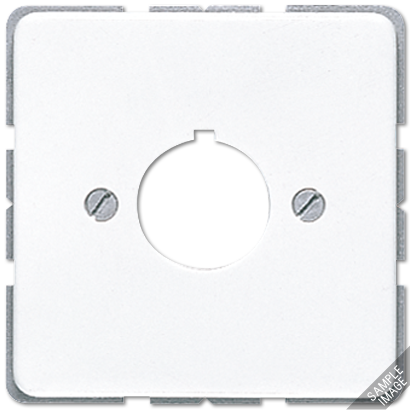 JUNG Крышка для установки специальных гнезд Ø 22,5 мм слоновая кость 564