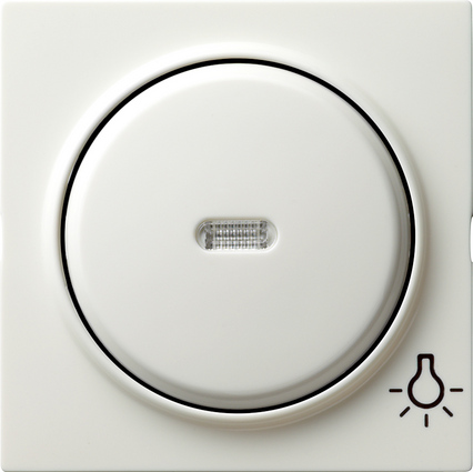 Gira Клавиша с пиктограммой "свет" 028540