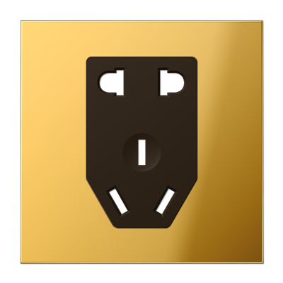 JUNG розетка китайского стандарта GO3521-5CNPL