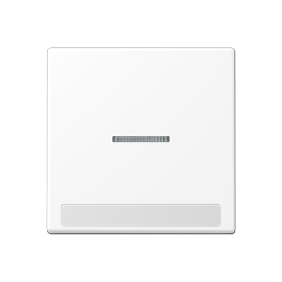 JUNG Клавиша с полем для надписи, белоснежный матовый A590BFNAKO5WWM