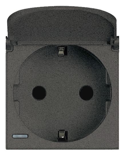 Купить BT Axolute Антрацит Розетка с/з с защит.шторками c крышкой,безвинт зажим,возможность индикации,2 мод HS4141PW