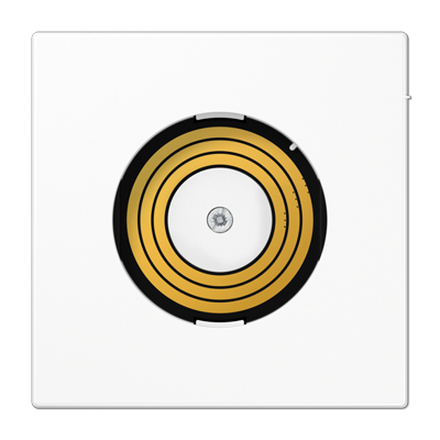 JUNG Белый Крышка для блока питания Plug&Light PLLSDMSWW