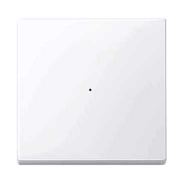 Купить SE Merten KNX\EIB SM Актив Бел Клавиша для модуля 1-кнопочного выключателя MTN619125