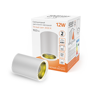 Gauss Светильник Overhead накл цил 12W 900lm 3000K 170-240V IP20 79*100мм белый золото LED HD010