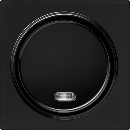 Gira Кнопочный выключатель для малого напряжения до 42 В с подсветкой 015347