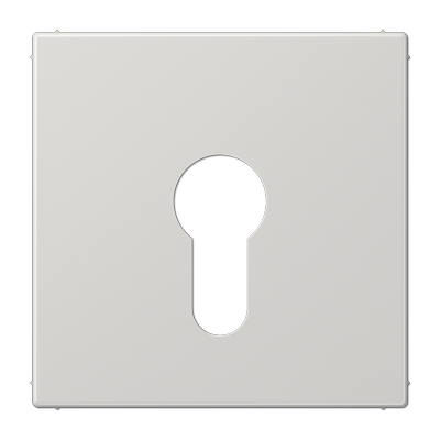 JUNG Крышка к выключателю для замочного механизма светло-серая LS925LG