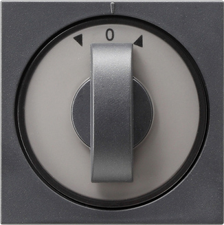 Gira S-55 Антрацит Накладка с ручкой для поворотных (в т.ч. и жалюзийных) переключателей, таймеров 066628