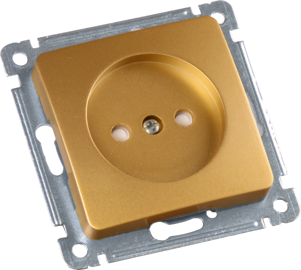 Hegel Мастер внутр Золото РС16-402-07 Розетка, со шторками, механизм