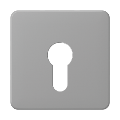 JUNG центральная плата для вставки с ключом, серый CD525GR