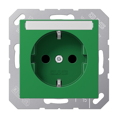 JUNG SCHUKO розетка с полем для надписи 6x46 мм, зелёная A1520BFNAGN
