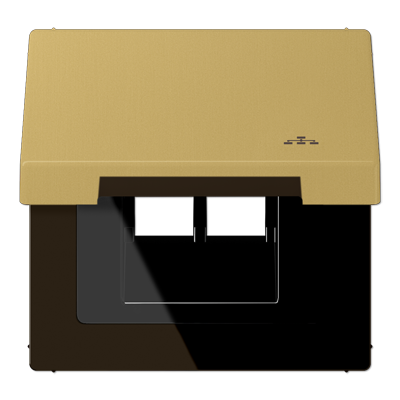 JUNG Накладка и крышка для двойных UAE розеток с символом "сеть" металл латунь Classic ME2990KLLANC