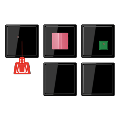 JUNG Аварийная система с ИБП, чёрный NRSLS0834-2SW