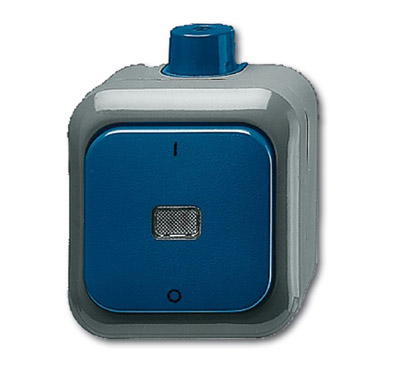 ABB Busch Duro Переключатель 1-клавишный, 2-полюсный, IP66, откр.монтаж, для работы в агрессивных средахI 2CKA001084A0821