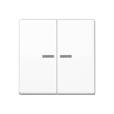 JUNG Клавиша для KNX кнопки, 2 группы с окошком дюропласт белый AS102KO5WW
