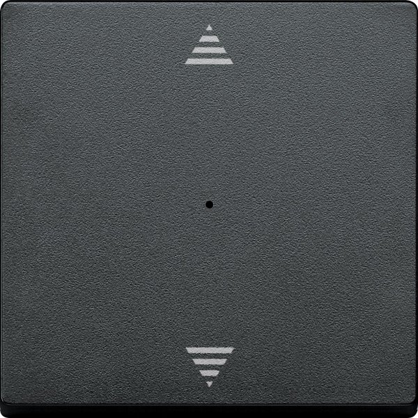 Купить SE Merten KNX\EIB SM Антрацит Клавиша для модуля 1-кнопочного выключателя, с символами ВВ/ВН MTN625514