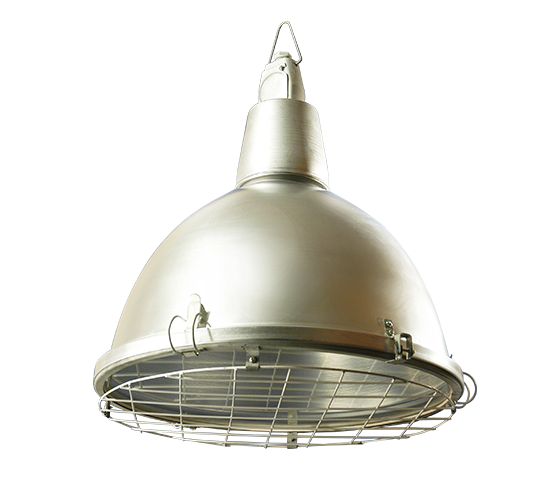 АСТЗ Светильник  НСП17-500-042 1017500042