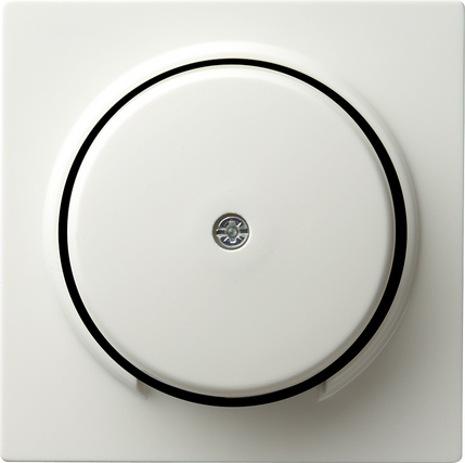 Gira Накладка розетки для подключения средств связи 027440