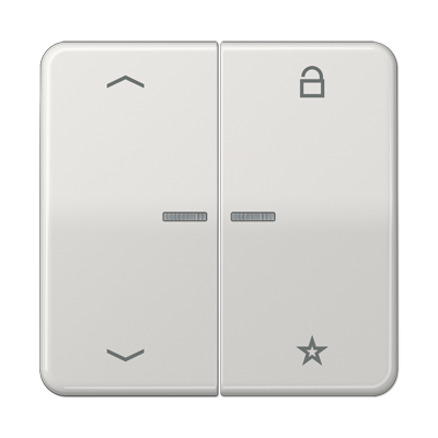 JUNG Центральная плата для вставок управления двигателями, светло-серый CD1701PLG