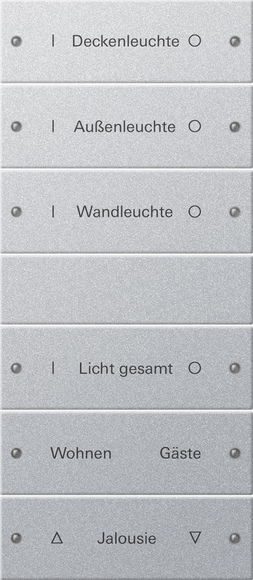 Gira Набор клавиш 6-местный (3+3),  ГРАВИРОВКА 220626