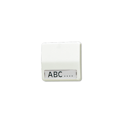 JUNG Клавиша с полем для надписи слоновая кость 60NA