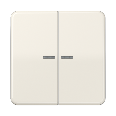 JUNG Клавиша для KNX кнопки, 2 группы с окошком дюропласт слоновая кость CD102KO5