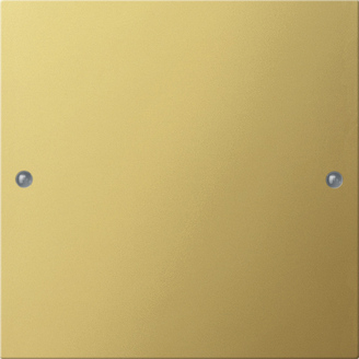Gira KNX Латунь Комплект клавиш, 1 шт. 2131606