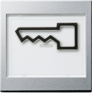 Gira Клавиша с полем для надписи 37*47 мм  и символом "дверь" 021826