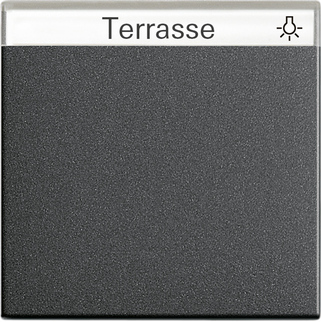 Gira S-55 Антрацит Клавиша 1-ая с полем для надписи 029928