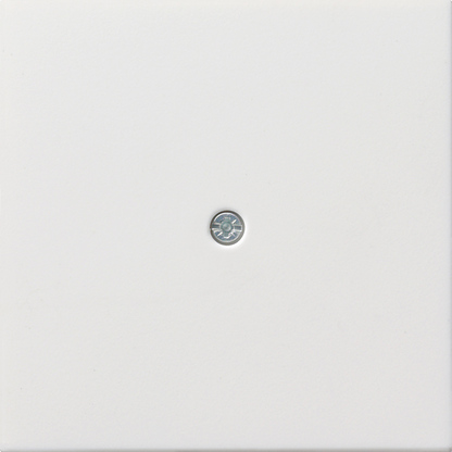 Gira F100 Бел глянц Накладка ввода кабеля 0274112