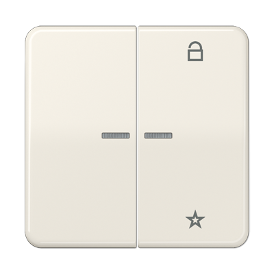 JUNG Центральная плата универсальная, слоновая кость CD1701