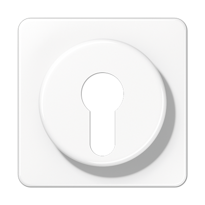 JUNG Крышка для выключателя с замком белая CD528WW