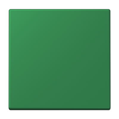 JUNG LS 990 Vert fonce(32050) Клавиша 1-ая LC99032050