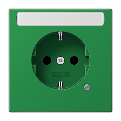 JUNG SCHUKO розетка с полем для надписи 9x58 мм, зелёный LS1520BFNAKOGN