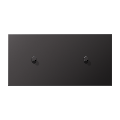 JUNG LS1912 Dark Центральная плата, 2 поста, для горизонтальной установки, тумблеры 1+1,цилиндр; метал. исполнение AL12-200DR01