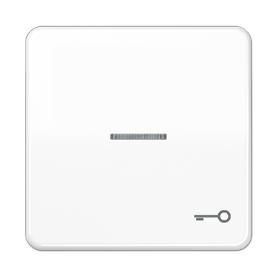 JUNG CD 500/CD plus Белая Клавиша 1-ая с/п с символом КЛЮЧ CD590KO5TWW