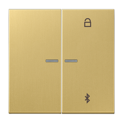 JUNG Таймер универсальный Bluetooth, латунь Classic ME1751BTC