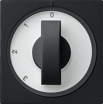 Gira Накладка с ручкой для трехступенчатого переключателя 0669005