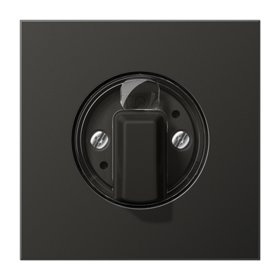 JUNG Антрацит Накладка поворотного механизма AL1941AN