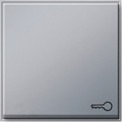 Gira Клавиша с пиктограммой "ключ" 028765