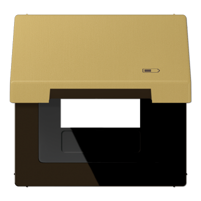 JUNG Рамка с подпружиненной крышкой для USB-механизмов, с центральной платой, латунь Classic ME2990KLUSBC