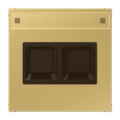 JUNG Плата (фиксация защёлкиванием) для одного модуля с полем для надписи металл латунь Classic ME1969-25NAWEC