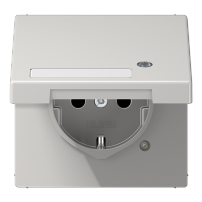 JUNG SCHUKO-розетка с крышкой, светло-серый LS1520NAKLKOLG