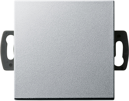 Gira Кнопочный выключатель для малого напряжения до 42 В 013826