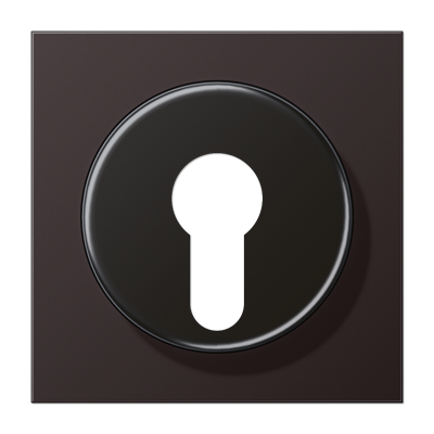 JUNG крышка для выключателя с замком, Dark AL2928D